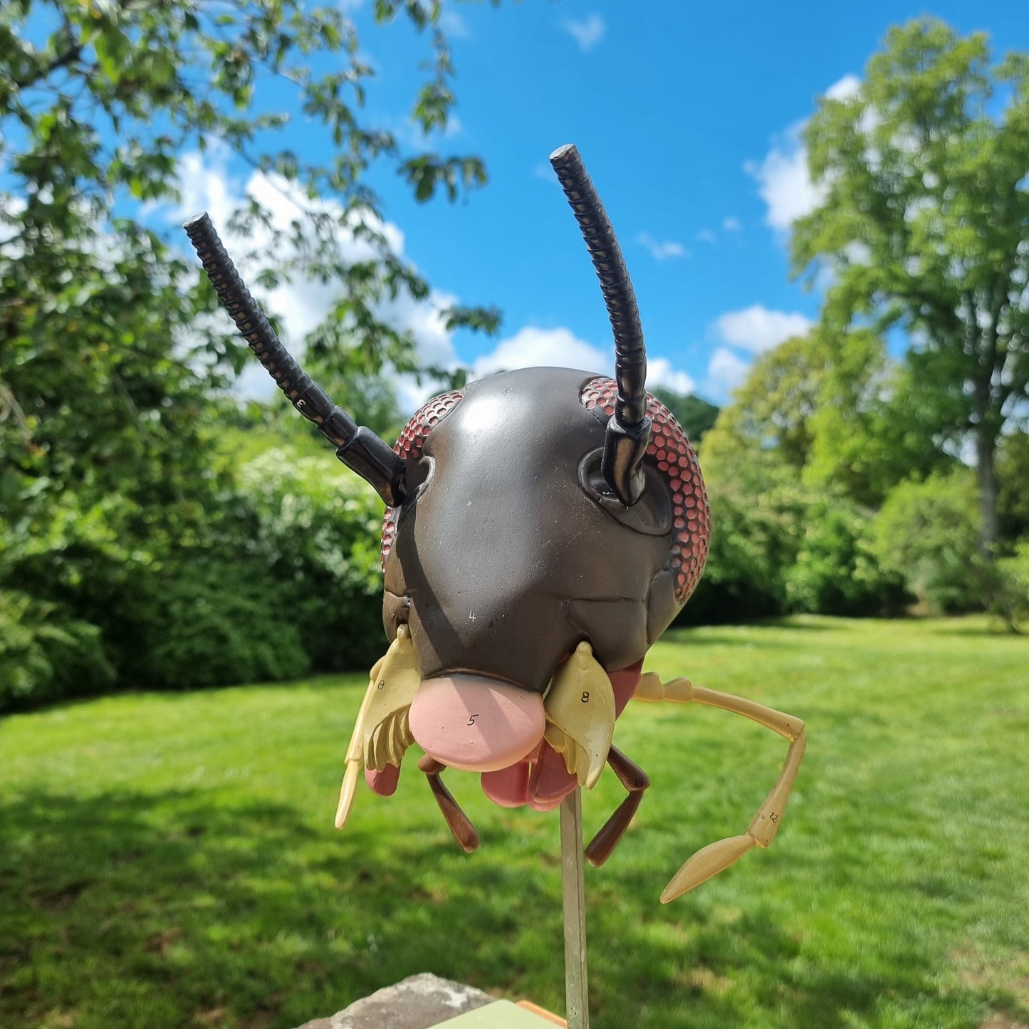 Adam Rouilly Cockroach Head Model